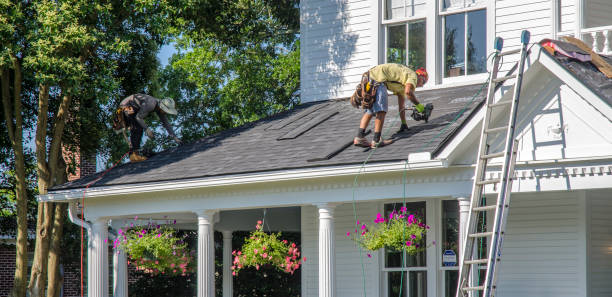 Best Storm Damage Roof Repair  in West Unity, OH